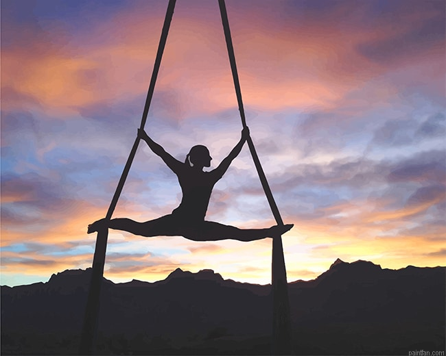 Silhouette Aerialist Female New Paint By Numbers.png