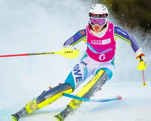 Skiing Olympic Games Paint By Number.png