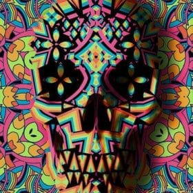Skull Geo Two Paint By Numbers.png