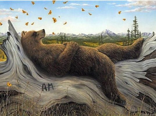 Sleeping Bear Paint By Numbers.png