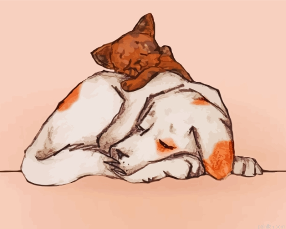 Sleeping Dog And Cat Paint By Numbers.png