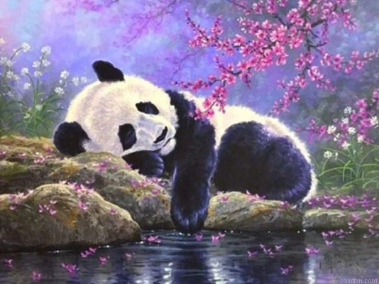 Sleeping Panda Paint By Numbers.png