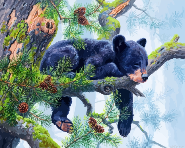 Sleepy Bear Paint By Number.png