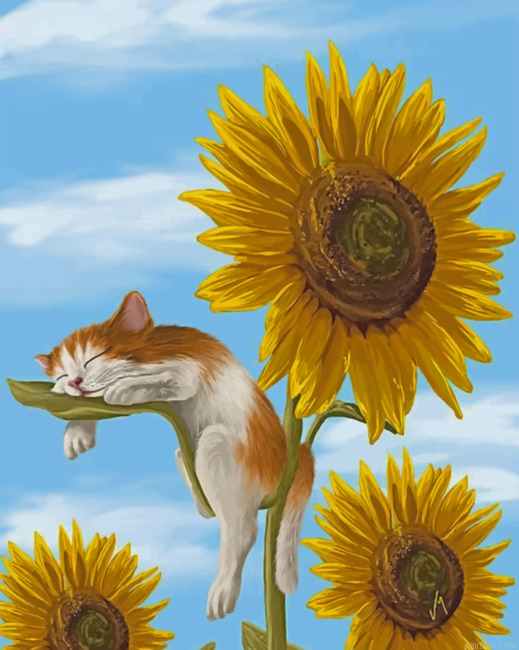 Sleepy Cat And Sunflowers Paint By Numbers.png