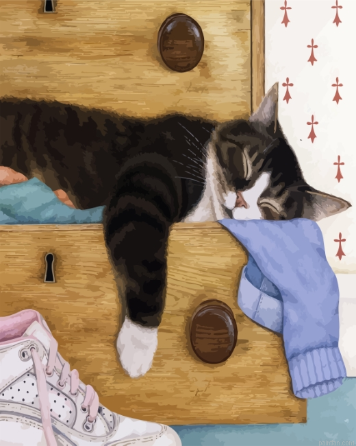 Sleepy Cat Paint By Number.png