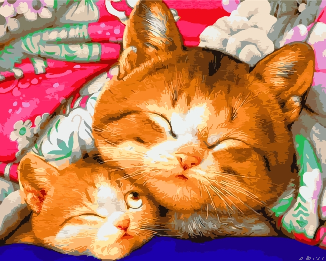 Sleepy Cute Cats Paint By Number.png