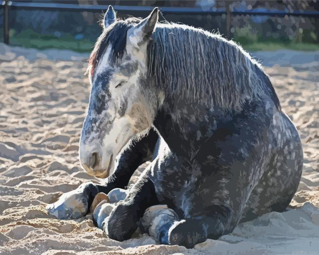 Sleepy Percheron Horse Paint By Numbers.png