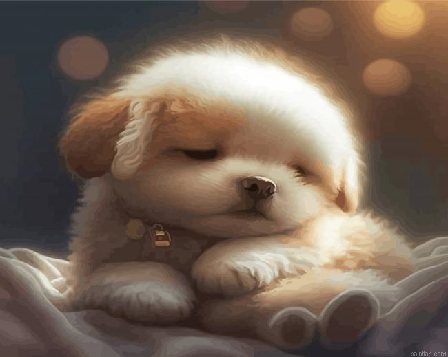 Sleepy Puppy Paint By Numbers.png