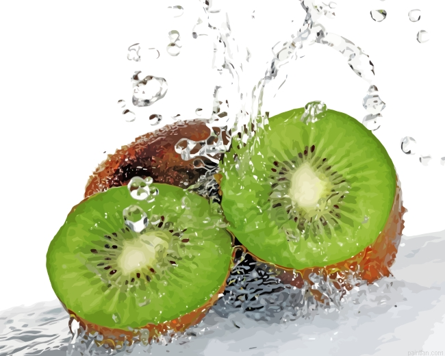 Sliced Kiwi In Water Paint By Number.png