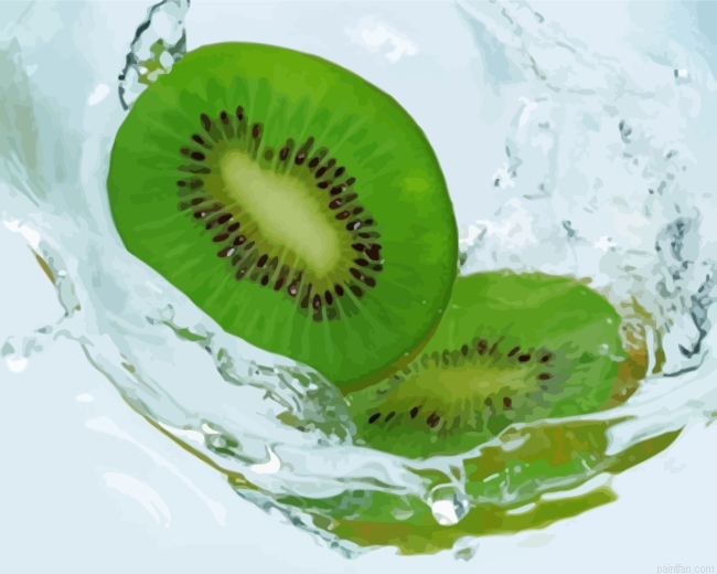 Sliced Kiwi Paint By Number.png