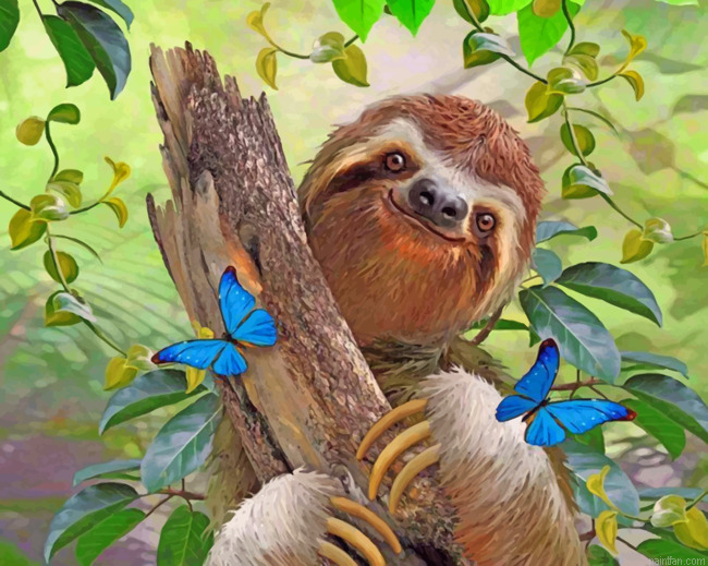 Sloth And Butterflies Paint By Numbers.png