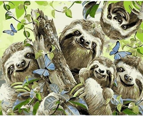 Sloth Selfie Paint By Numbers.png