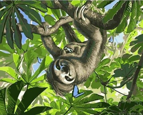 Sloth On Tree Paint By Numbers.png