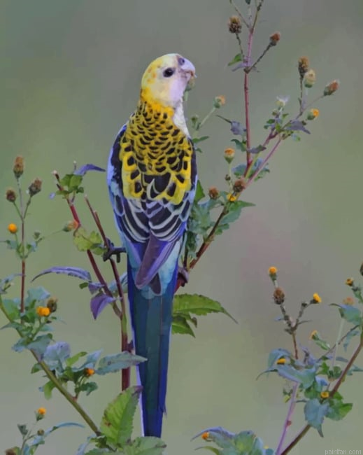 Small Parrot New Paint By Numbers.png