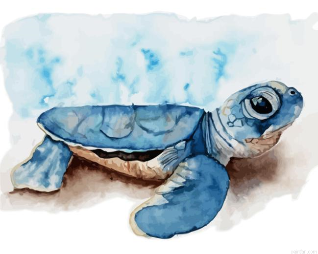Small Turtle Paint By Numbers.png