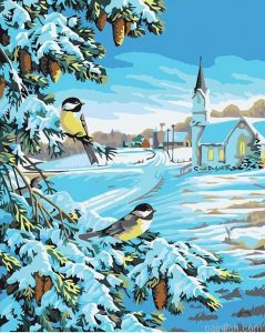 Snow Bird Paint By Numbers.png