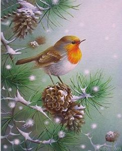 Snow Birds Paint By Numbers.png
