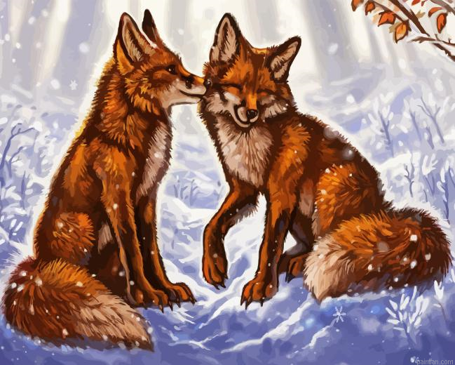 Snow Fox Couple Paint By Numbers.png