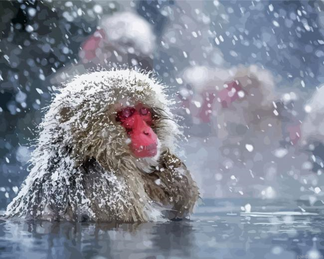 Snow Monkey Paint By Numbers.png