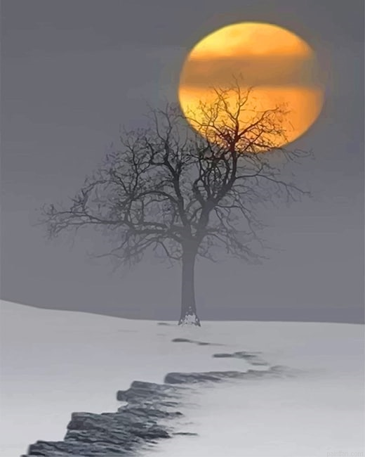 Snow Moon Paint By Numbers.png