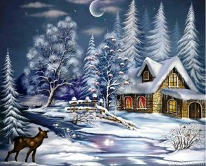 Snow Night Paint By Numbers.png