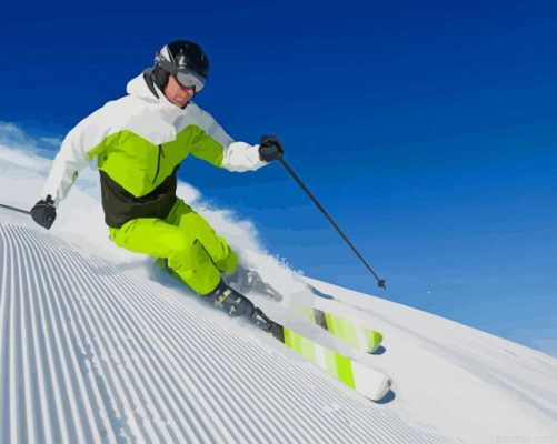 Snow Skiing Paint By Number.png