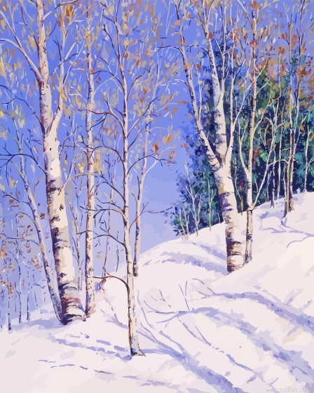 Snow White Birches Trees Paint By Numbers.png