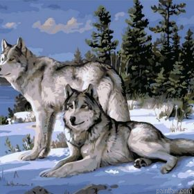 Snow Wolves Paint By Numbers.png