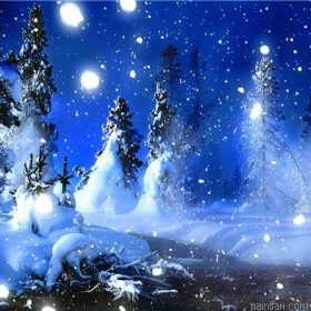 Snowy Night Paint By Numbers.png