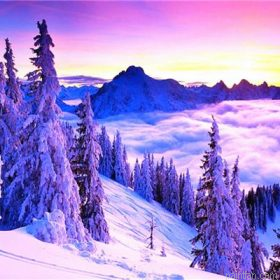 Snowy Scene Paint By Numbers.png