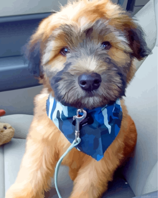 Soft Coated Wheaten Terrier Paint By Number.png