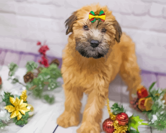 Soft Coated Wheaten Terrier Pet Paint By Number.png