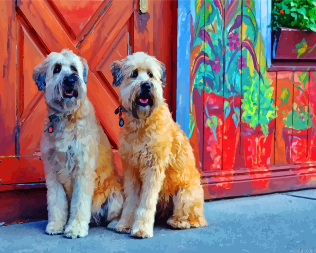 Soft Coated Wheaten Terriers Paint By Number.png
