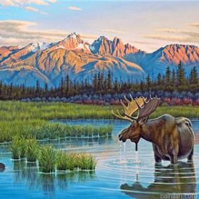 Solitude Elk Paint By Numbers.png