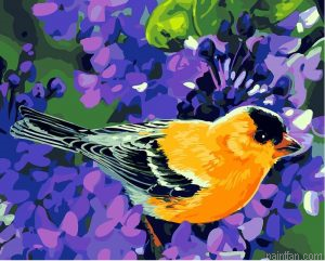 Songbirds Paint By Numbers.png