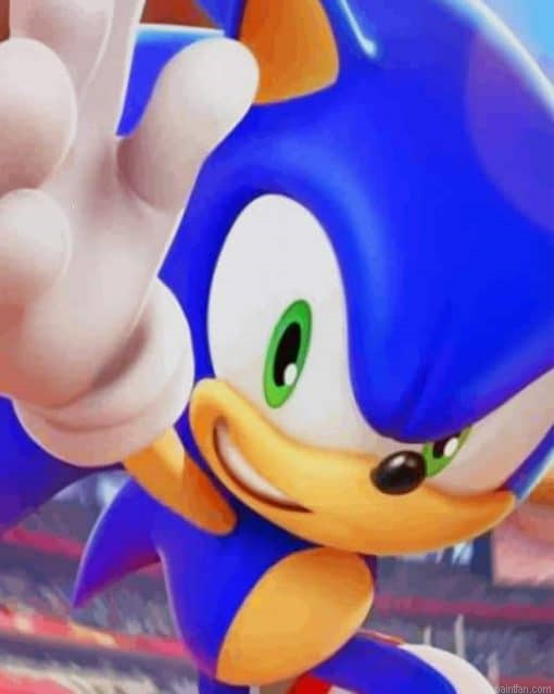 Sonic At The Olympic Paint By Number.png