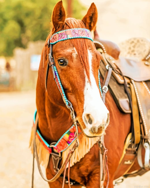 Sorrel Horse New Paint By Numbers.png