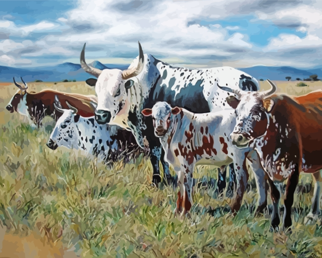South Africa Nguni Paint By Number.png