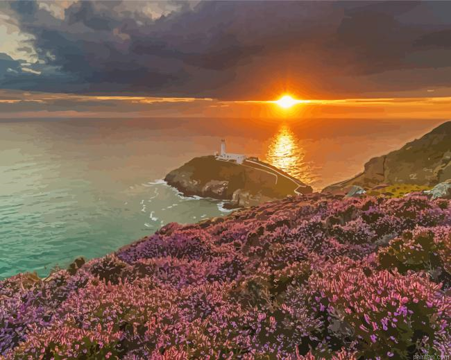 South Wales Sea View Paint By Numbers.png