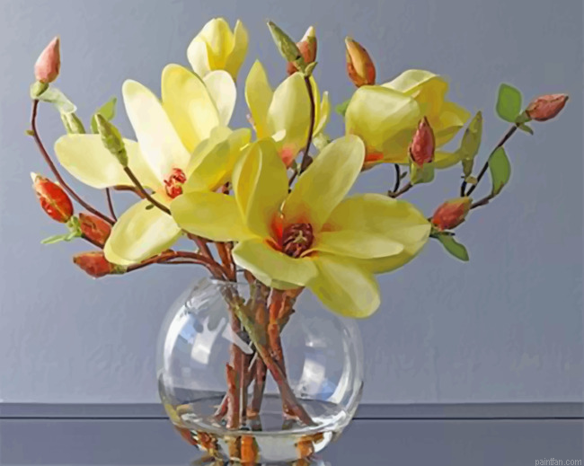 Southern Magnolia Paint By Numbers.png