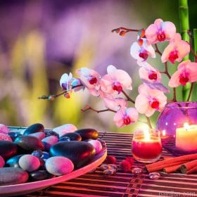 Spa Orchid Paint By Numbers.png