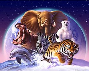 Space Animals Paint By Numbers.png