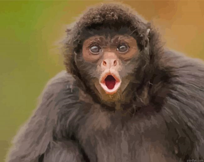 Spider Monkey Paint By Numbers.png