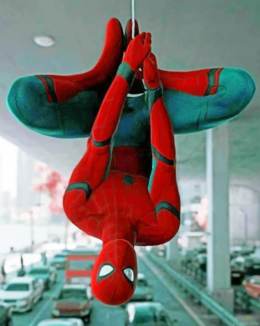 Spiderman Hero Paint By Numbers.png