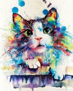 Splash Cat Paint By Numbers.png