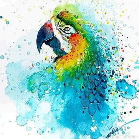 Splashed Parrot Paint By Numbers.png