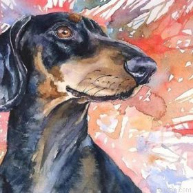 Splatter Dachshund Paint By Numbers.png