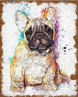 Splatter French Bulldog Paint By Numbers.png