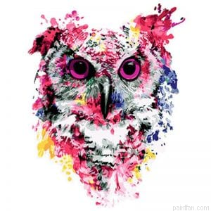 Splatter Owl Paint By Numbers.png