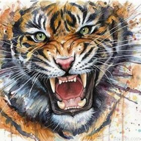 Splatter Tiger Paint By Numbers.png